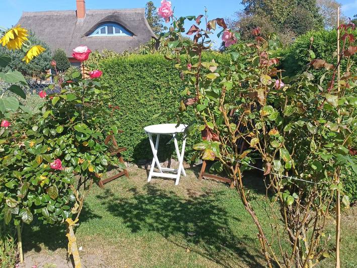 Ferienwohnung für 2 Personen, mit Garten in Wustrow - 4