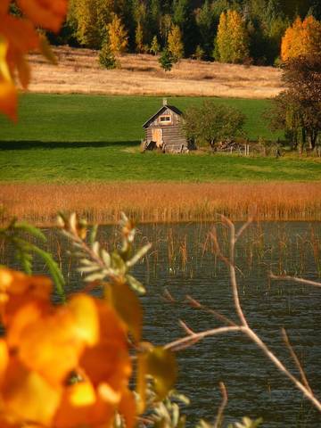 Cabin Rentals And Lodges for 16 Guests in Kamloops Region, British Columbia, Picture 2