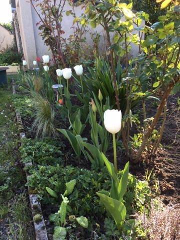 Location de vacances pour 4 personnes, avec jardin et vue à Saint-Clément-des-Levées - 4
