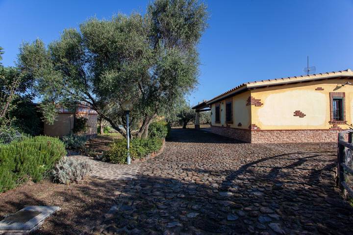 Gîte pour 5 personnes, avec jardin dans Orosei - 4