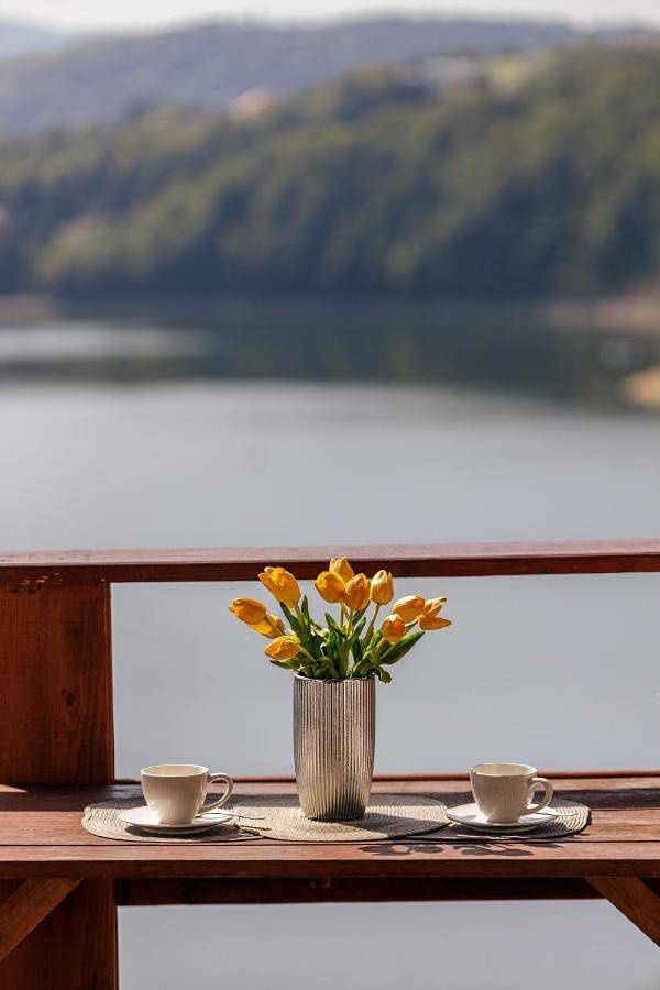 Tarasy nad Solina in Karpaty (Polska)