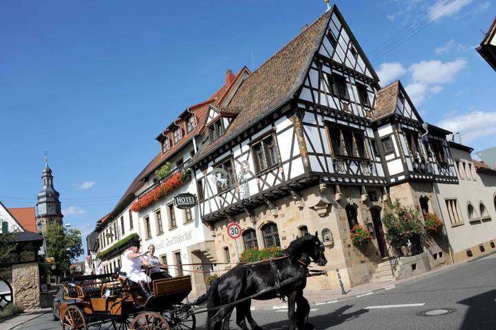 Hotel für 2 Personen, mit Terrasse in Kallstadt - 4