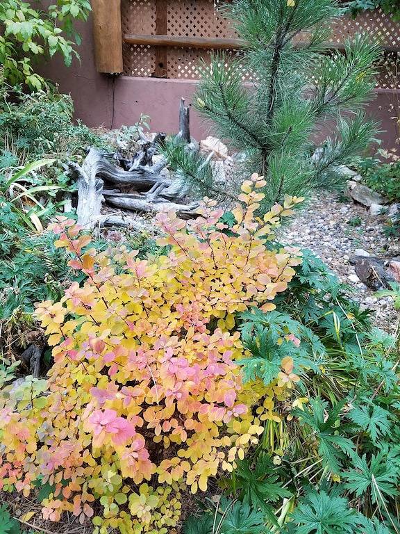 Vacation rental for 9 people, with yard in Custer State Park