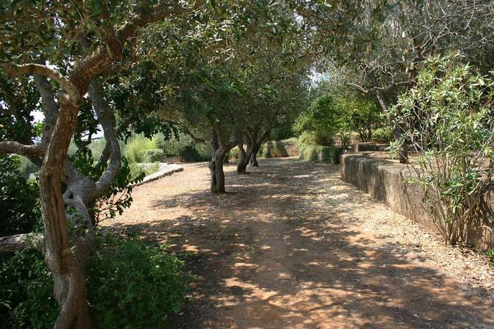 Gîte pour 5 personnes, avec jardin et vue, animaux acceptés dans Marina Serra - 3