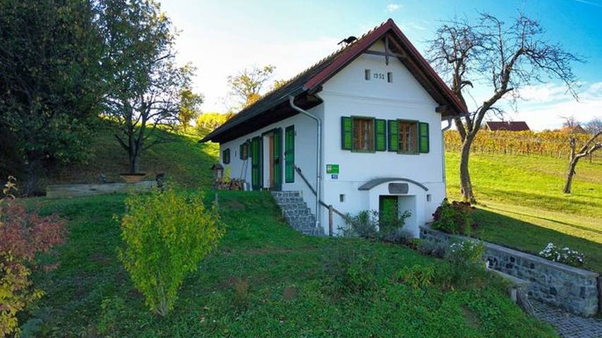 Ferienhaus für 4 Personen, mit Garten und Ausblick, kinderfreundlich im Südburgenland