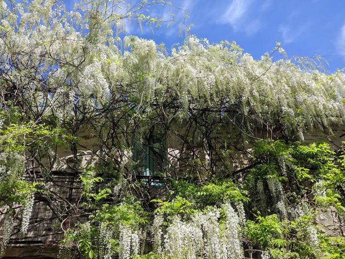 Location de vacances pour 3 personnes, avec vue et jardin à Prémian - 2