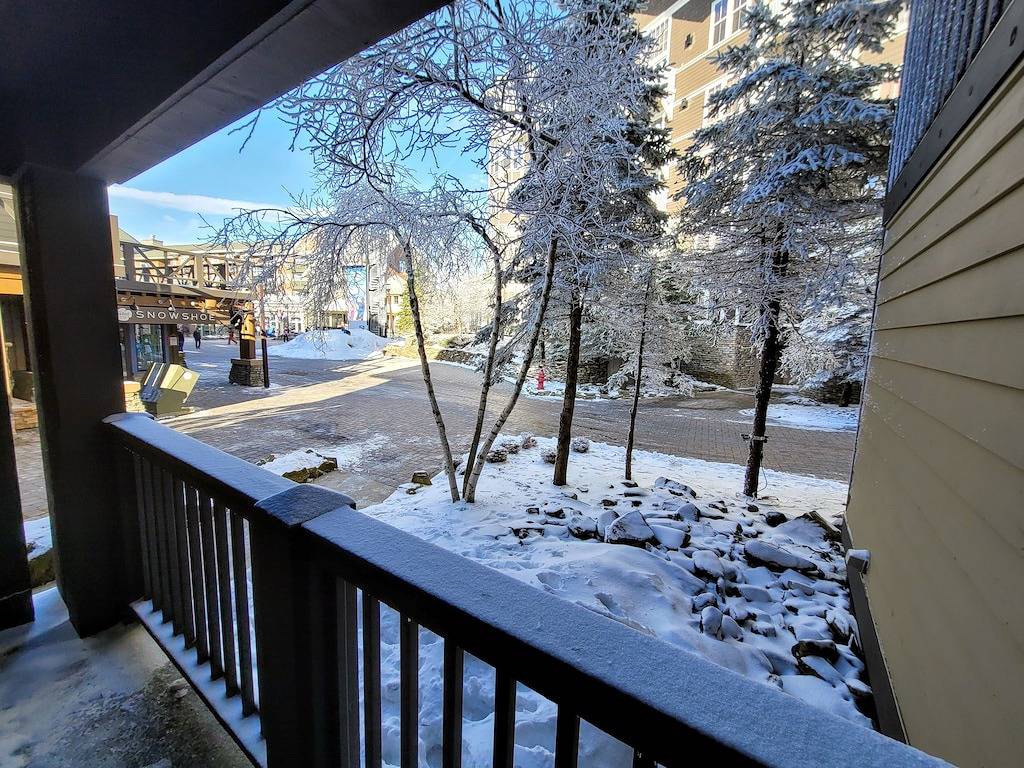 Ganze Wohnung, Beste Lage in allen Schneeschuhen! Eines von nur 2 True Ski In / Out im Dorf !! in Snowshoe, Greenbrier River