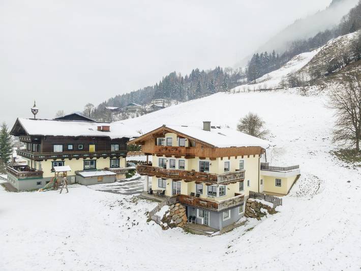 Ferienwohnung für 5 Personen, mit Balkon und Garten sowie Sauna in Goldegg