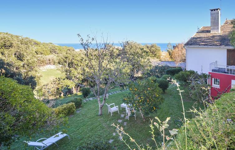 Gîte pour 4 personnes, avec terrasse et jardin à Brando - 3