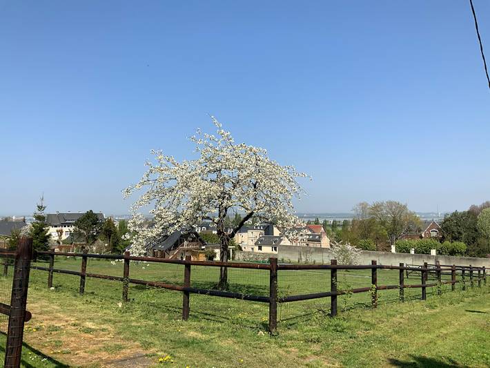 Gîte pour 10 personnes, avec terrasse et jardin à Honfleur - 2