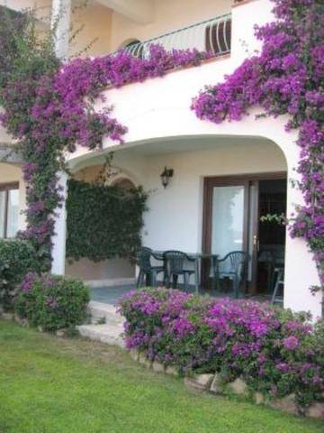 Gîte pour 6 personnes, avec jardin et terrasse ainsi que piscine et vue, animaux acceptés à Monte Petrosu