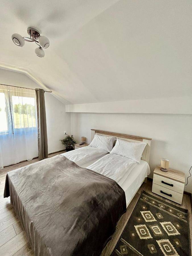 Villa pour 3 personnes, avec vue et jardin en Roumanie - 4