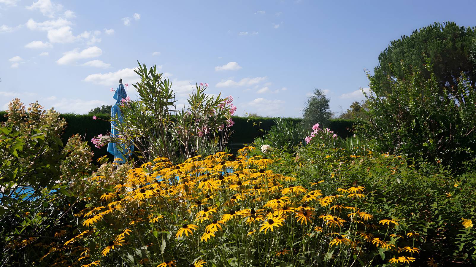 Gîte avec piscine la petite gironde in Porchères, Région de Libourne