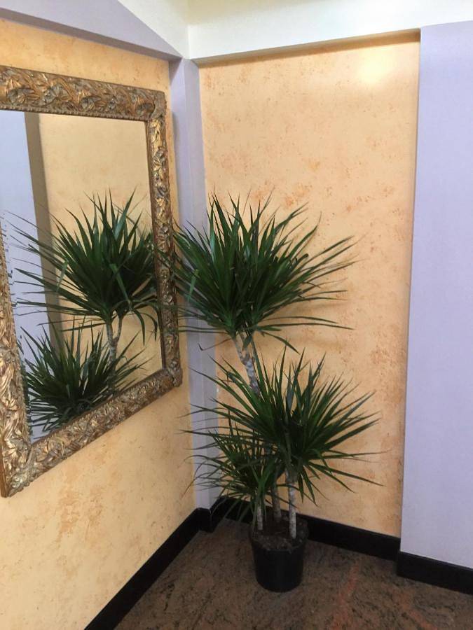 Hotel para 2 personas, con terraza, Se admiten mascotas - 1