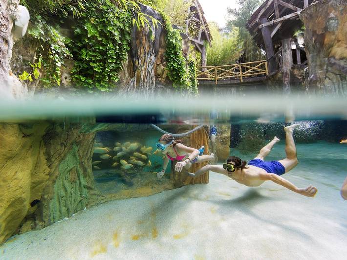 Cottage for 6 people, with garden and children pool as well as hot tub, with pets in Belgium