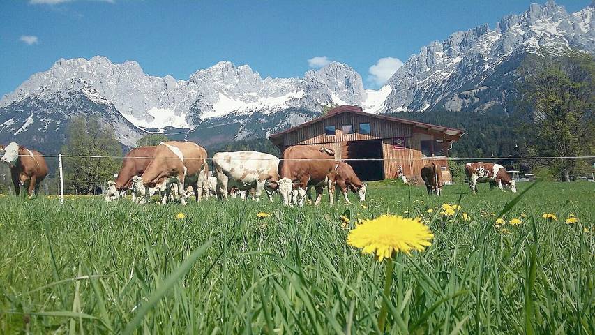 Bauernhaus für 2 Personen, mit Garten, kinderfreundlich in Österreich - 3