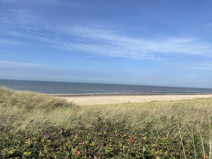De Dars in Noord-Holland - Nordseeküste