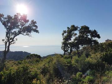 Holiday Home for 3 People in Bormes-les-Mimosas, Provence-Alpes-Côte d'Azur, Photo 2