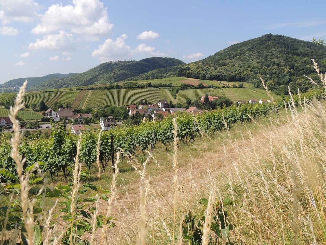 Ganze Ferienwohnung, Ferienwohnung "Dorfblick" - Ferienwohnung "Dorfblick" in Leinsweiler, Trifelsland