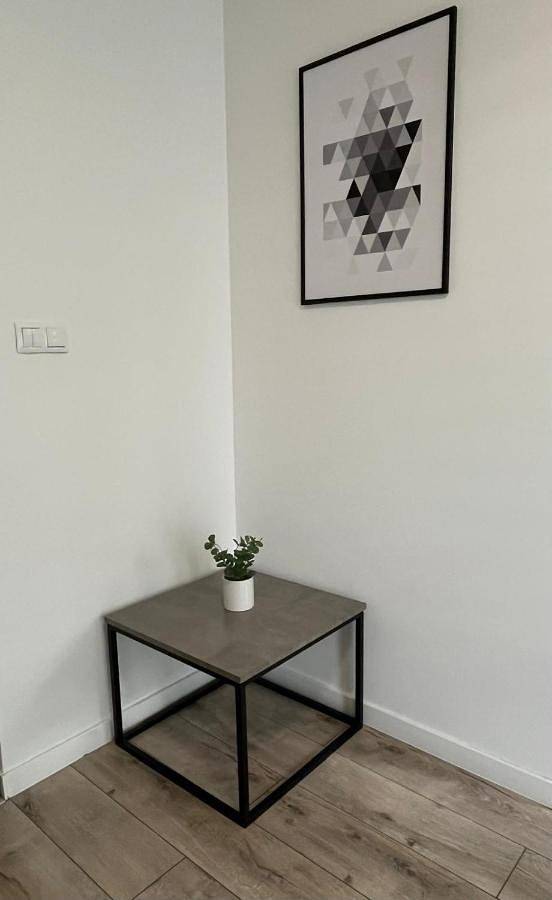 Cały apartament, Apartment in Rybnik, Śląsk
