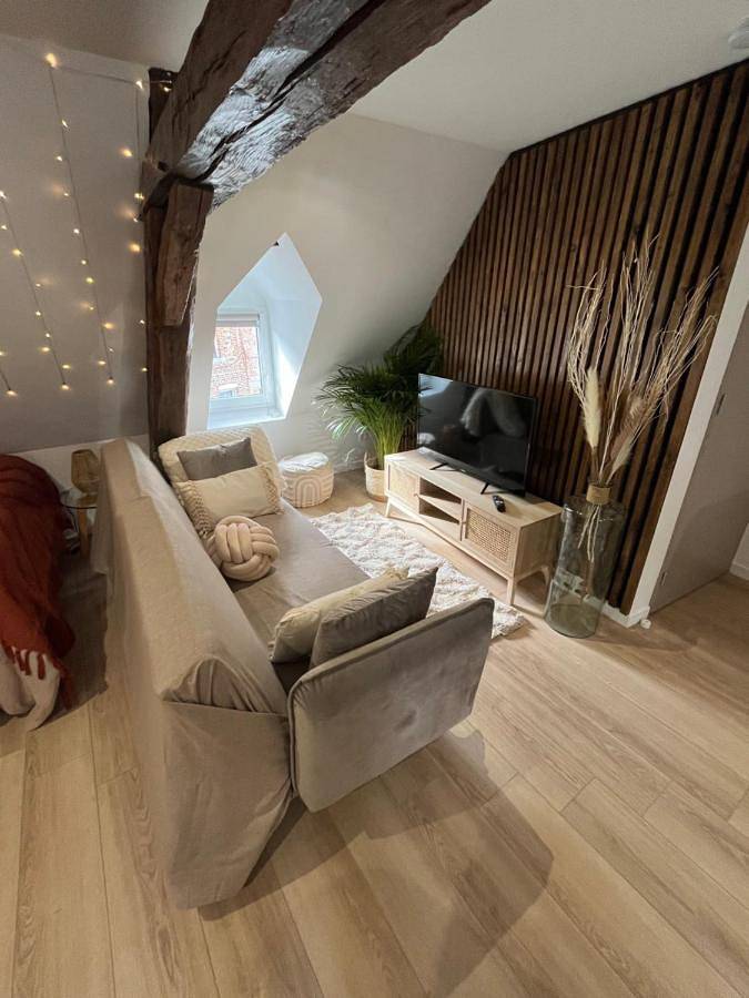 Appartement entier, Appartement cocooning in Solre-le-Château, Avesnes-sur-Helpe