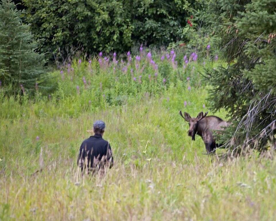Glacier View Getaway auf Kilcher Familie Homestead in Alaska das Last Frontier in Kenai Peninsula
