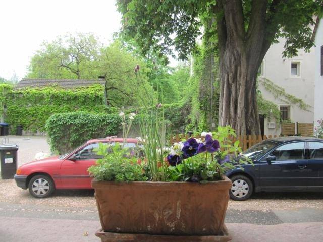 Ferienwohnung für 4 Personen, mit Terrasse in Speyer - 4