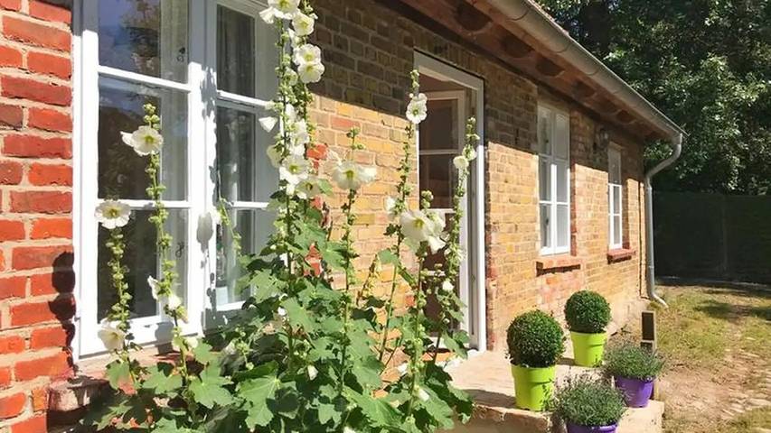 Ferienhaus für 5 Personen, mit Sauna und Garten in Lohme - 4