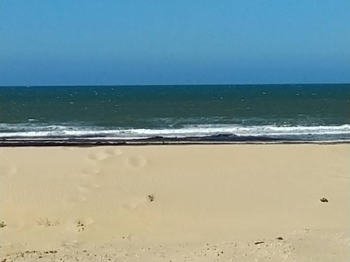 Ferienhaus für 6 Personen, mit Terrasse und Ausblick in Mimizan Plage - 2