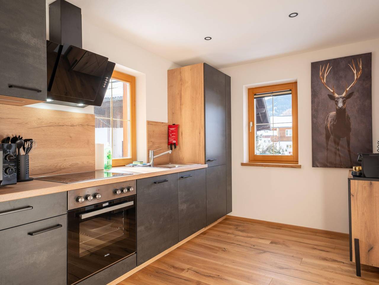 Ganze Ferienwohnung, Apartments Kressl - Apartments Kressl - Apartment Holzklang in Ramsau (Gosau), Gosau