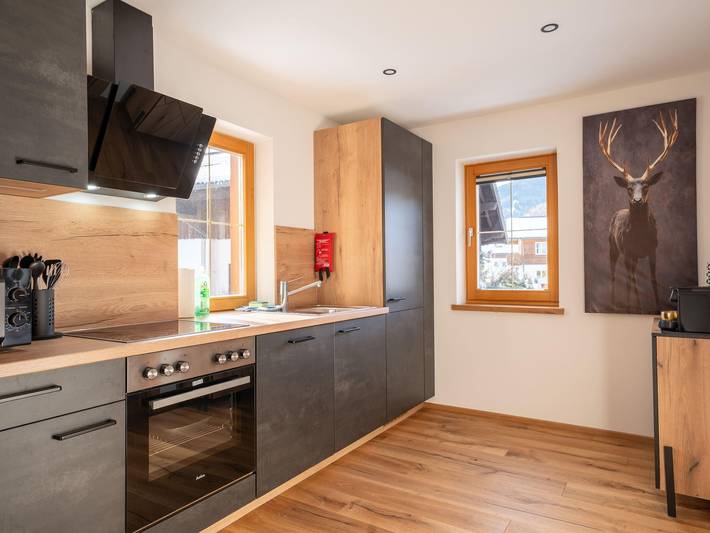 Ganze Ferienwohnung, Apartments Kressl - Apartments Kressl - Apartment Holzklang in Gosau, Dachstein Salzkammergut