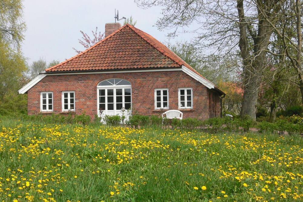 Hauptbild