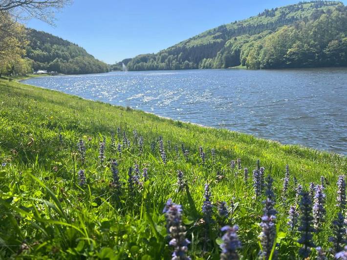 Ferienhaus für 5 Personen, mit Seeblick und Ausblick sowie Garten, mit Haustier in Biersdorf am See - 4