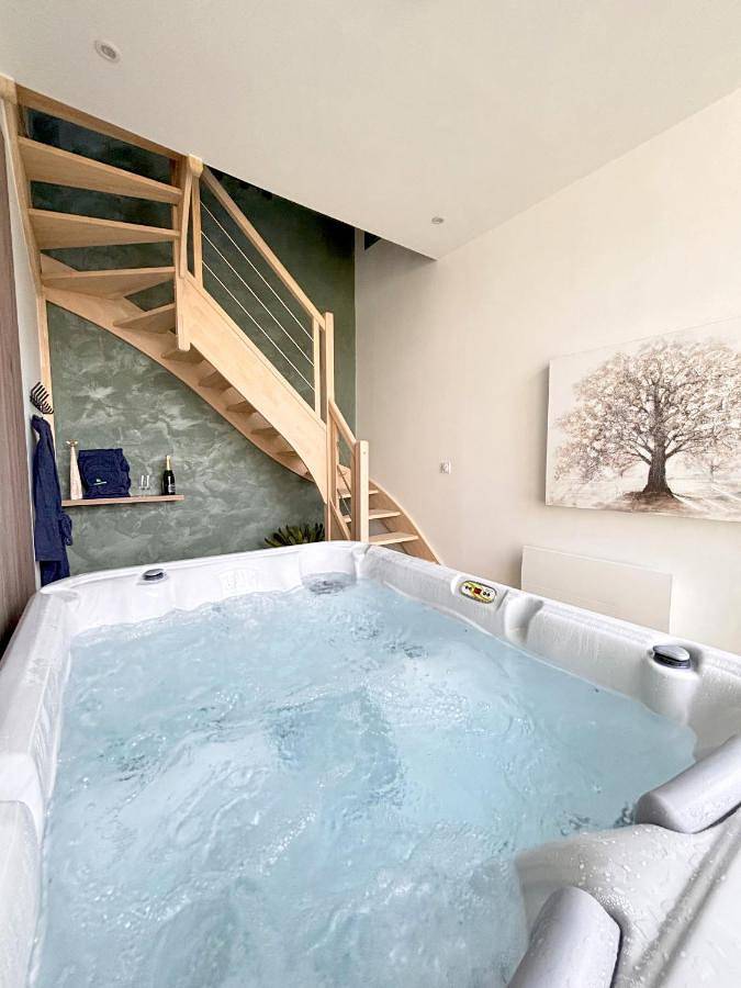 Gîte pour 4 personnes, avec jardin et jacuzzi à Saint-Romain-sur-Cher - 4