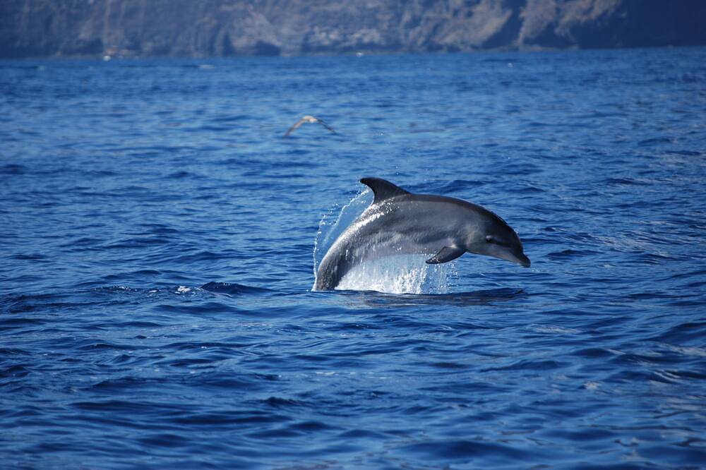 Appartamento vacanze a Tenerife a partire da 164€ a notte