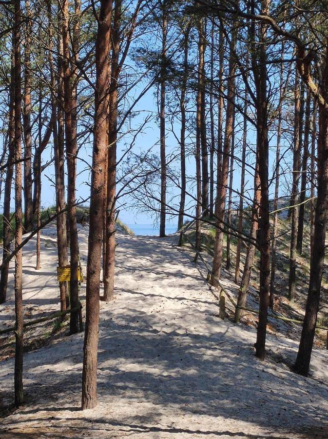 Apartament wakacyjny dla 5 osób, z widok na jezioro i widok oraz taras, zwierzęta dozwolone - 1