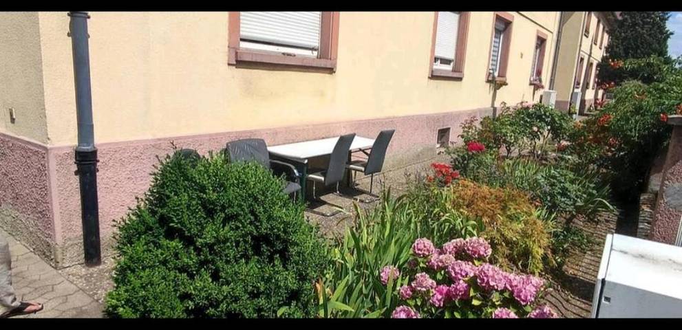 Chambre d’hôte pour 2 personnes, avec terrasse et jardin, animaux acceptés à Strasbourg - 2