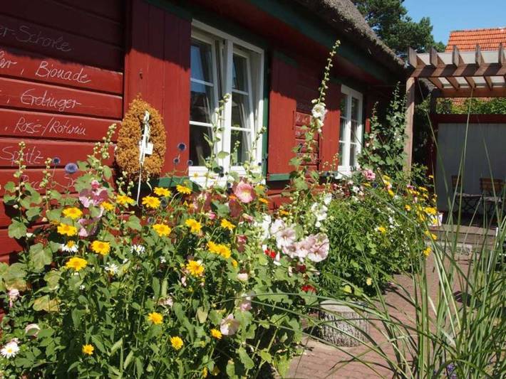 Ferienwohnung für 4 Personen, mit Balkon und Terrasse sowie Garten und Ausblick in Prerow - 4