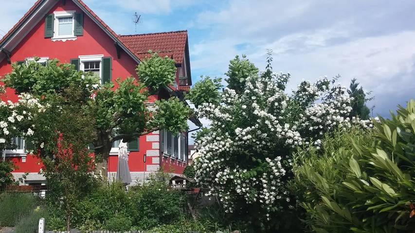 Doppelzimmer für 2 Personen in Hagnau in Hagnau am Bodensee, Region Bodensee-Oberschwaben