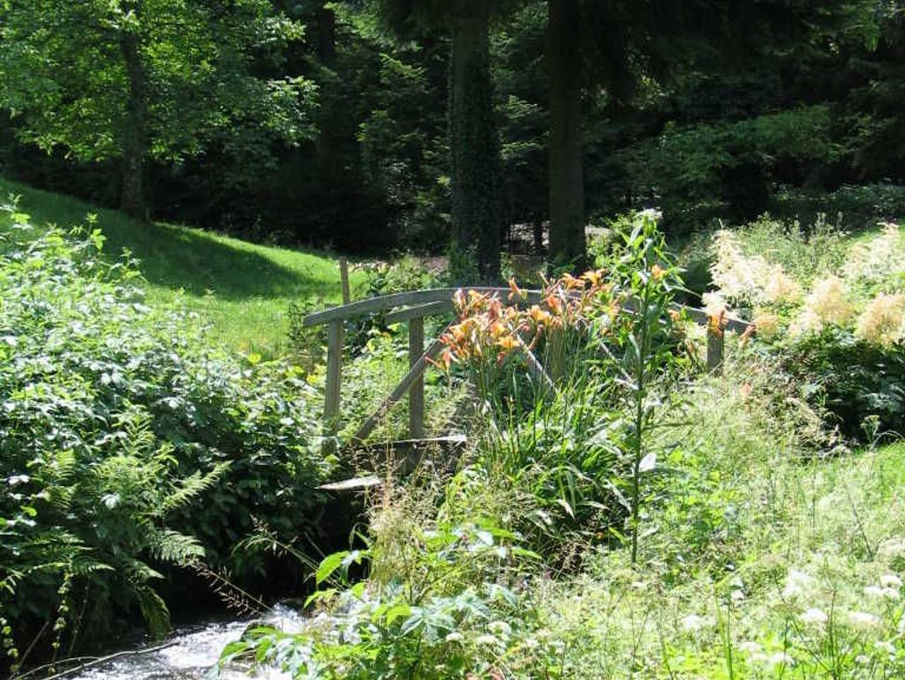 Ganze Ferienwohnung, Haus Brigitte - Hintere Mühle - Ferienwohnung 40qm Blumenwiese in Suedlicher Schwarzwald, Horben