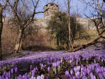 Ferienwohnung für 4 Personen in Deutschlandsberg, West- und Südsteiermark, Bild 1