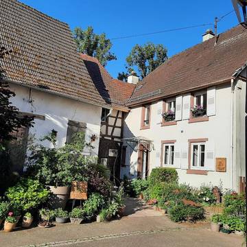 Chambre d’hôte pour 3 personnes, avec jardin et vue dans Parc naturel régional des Vosges du Nord