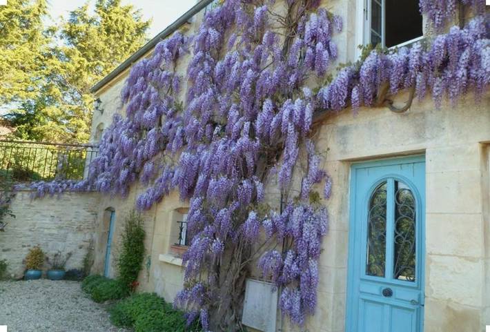 Chambre d’hôte pour 3 personnes, avec Jardin