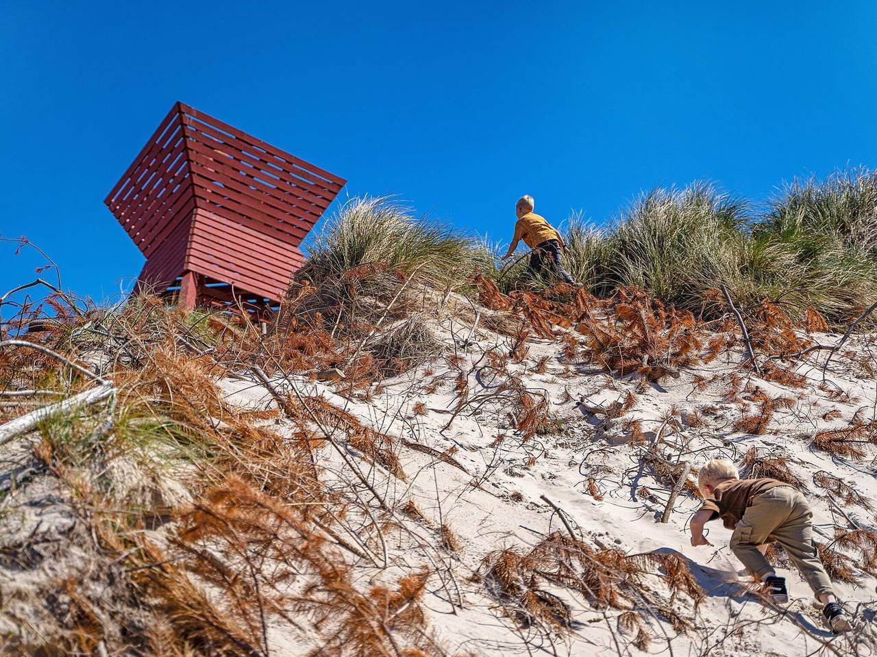 Hel leilighet, 6 person ferie hjemme i Blokhus in Blokhus, Jammerbugt