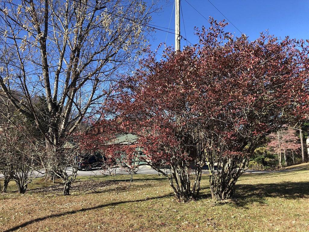 Awesome Family Vacation Lodge - 7 Minuten von der Innenstadt von Blowing Rock, Nc in Blue Ridge Parkway, Caldwell County