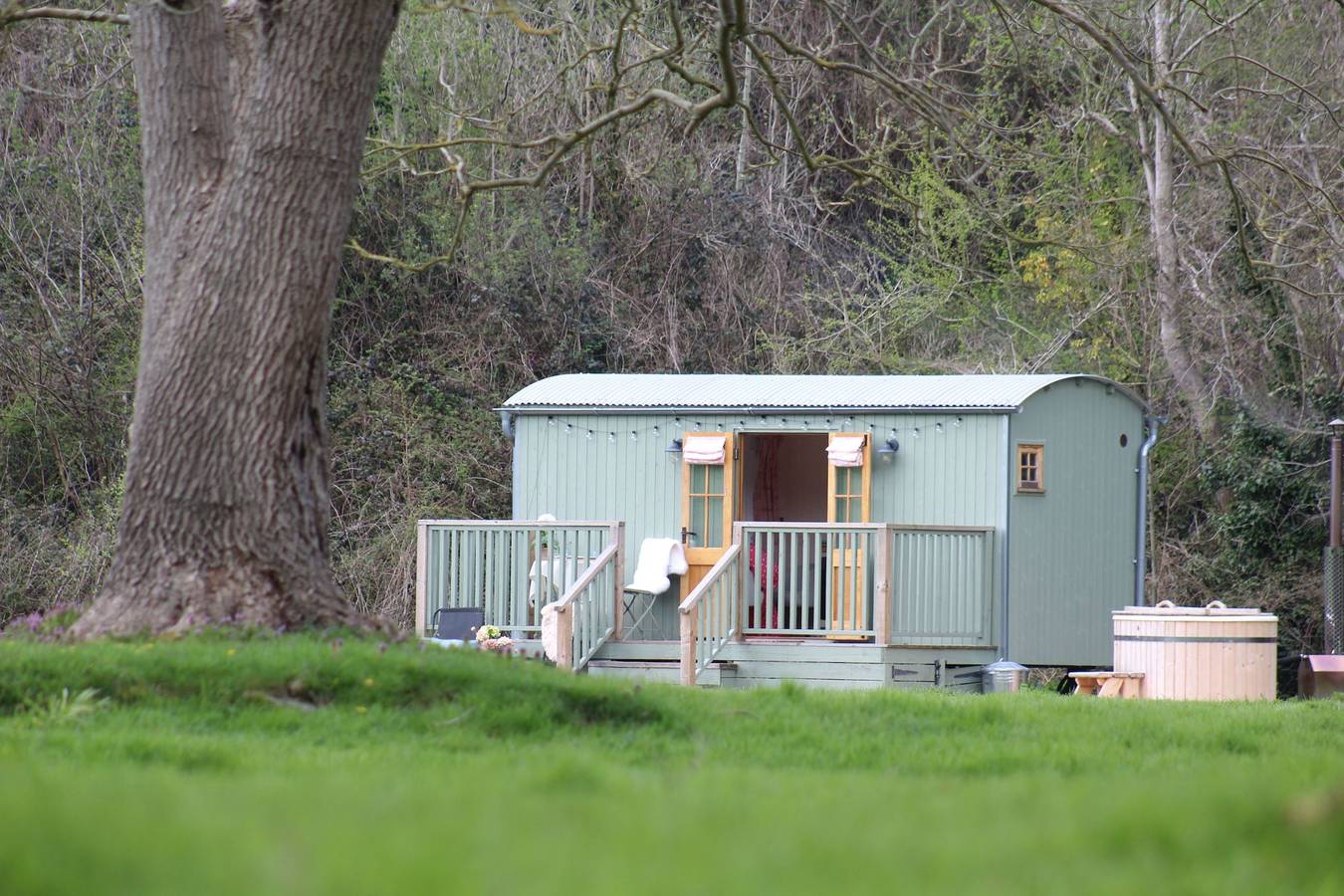 Kingfisher in Wrexham und Umgebung
