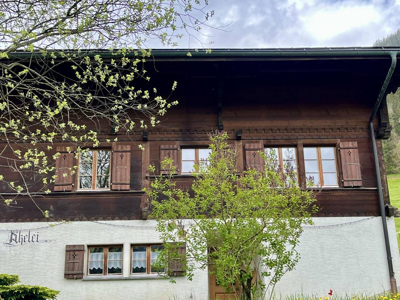 Ganze Wohnung, Akelei (gross) in Saanenmöser, Zweisimmen