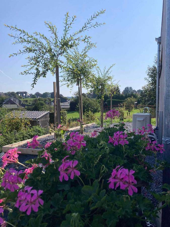 Villa pour 2 personnes, avec jardin et vue, animaux acceptés à Spa - 3