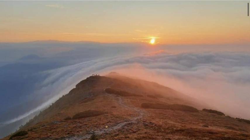 Gîte pour 3 personnes, avec sauna ainsi que vue et jardin, animaux acceptés à Stryszawa - 2