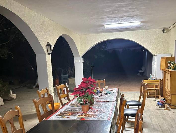 Maison d’hôte pour 3 personnes, avec piscine et jardin, animaux acceptés à Elche - 4